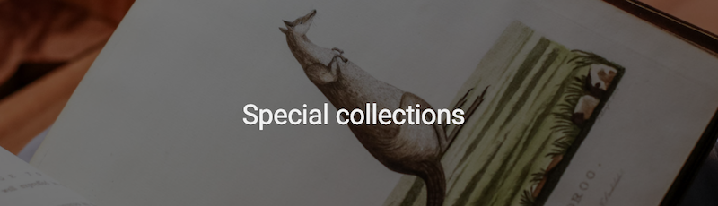 Screenshot of Special collections page header image
