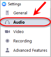 the audio option is highlighted