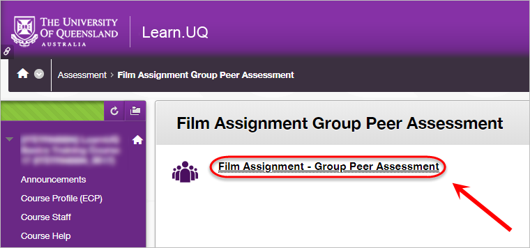 group peer assessment