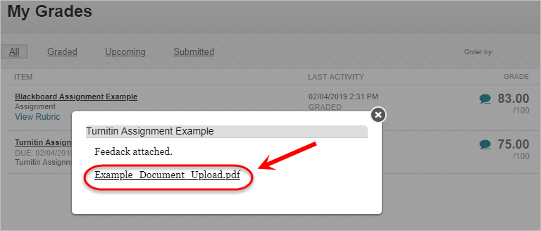 Popup box with attached document circled.