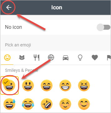 icon options