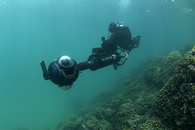 Scuba diver underwater 