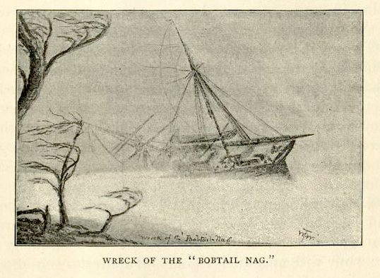 Wreck of the Bobtail Nag