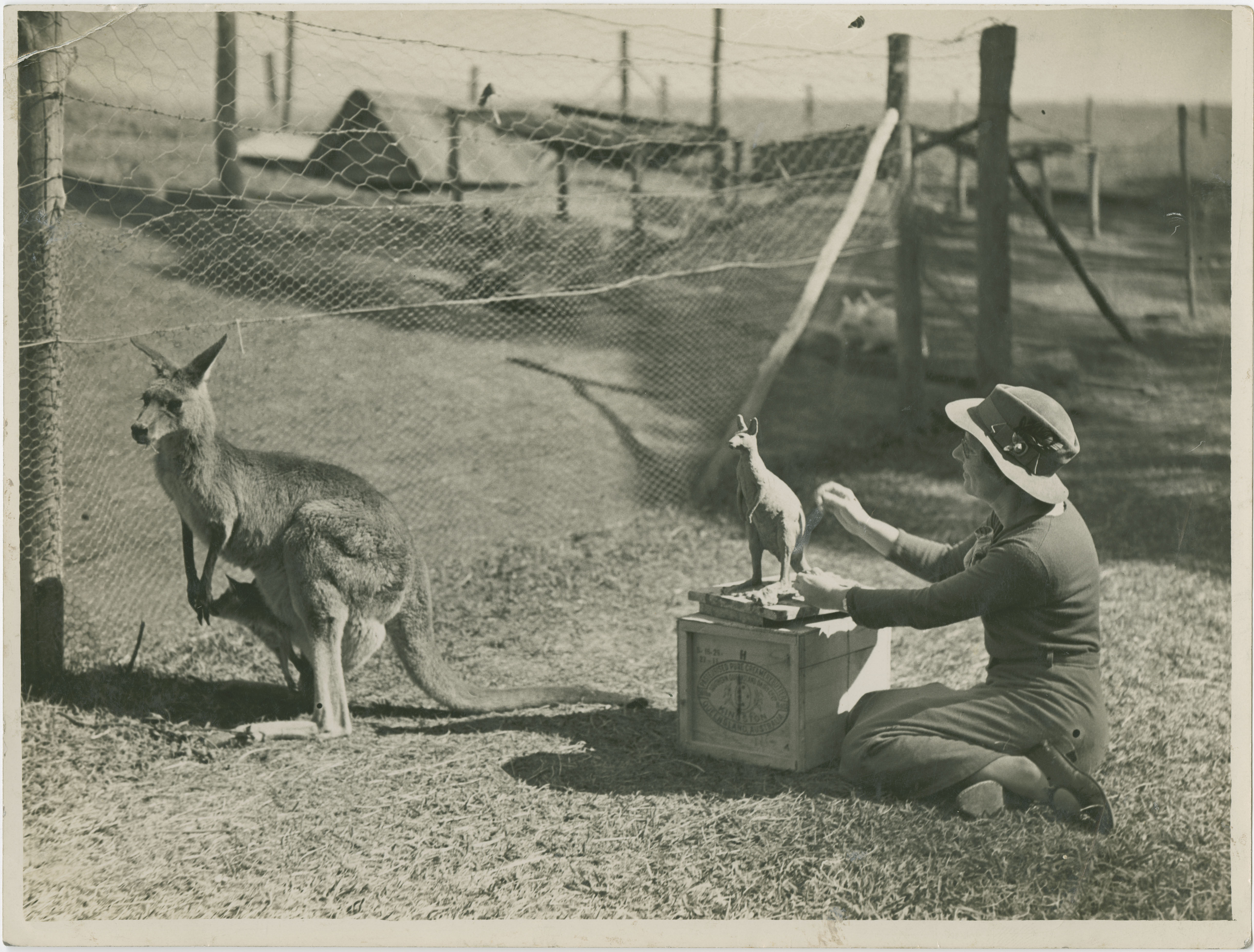 Daphne Mayo sculpting a kangaroo at Lone Pin Koala Sanctuary