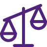 digital law icon