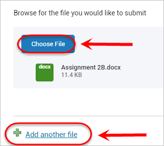 the choose file and add another file button are highlighted
