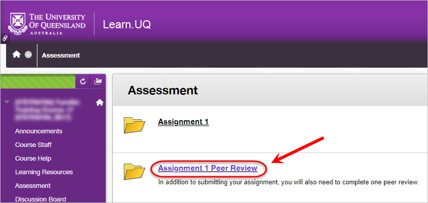 turnitin assignment peer review