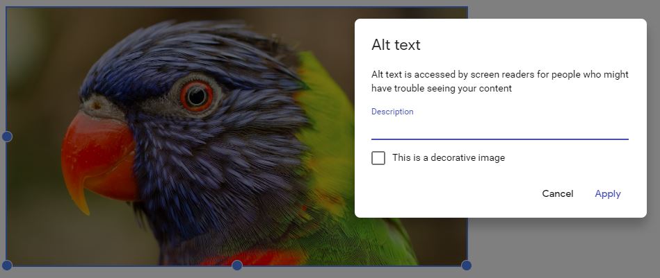 This alt text field has an option to select "decorative image".