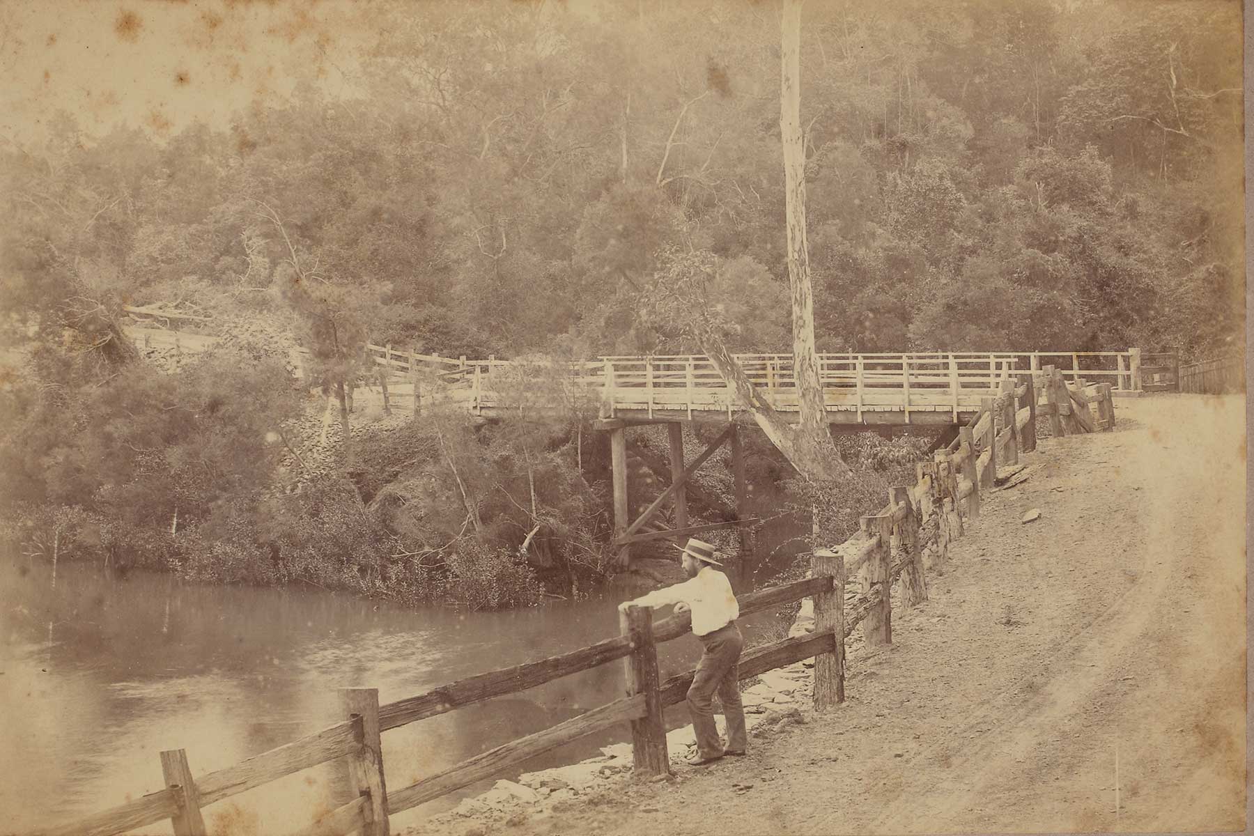 Witton Creek Bridge in the background, Radnor Street, Indooroopilly, Brisbane, Queensland c1880 to 1907