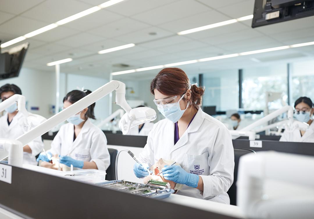 Dentistry students studying in a lab.