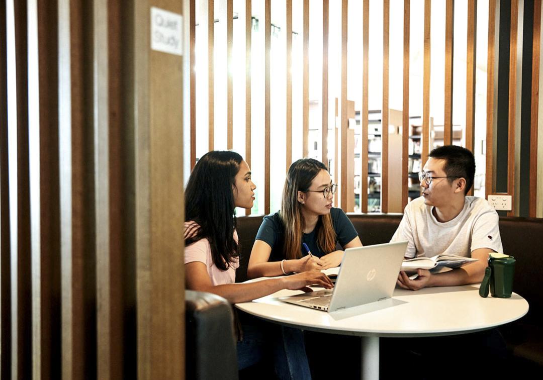 Students in a study booth.