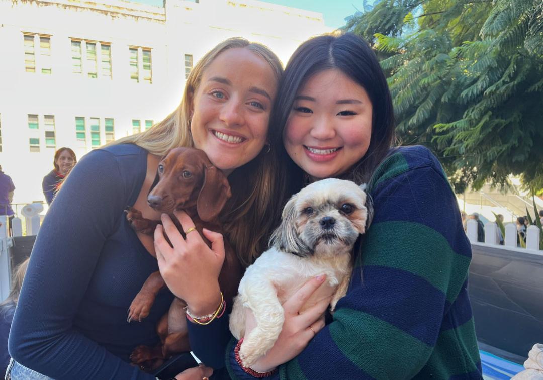 Two students holding a puppy each.