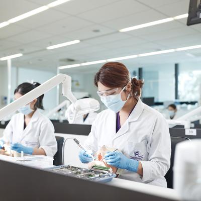 Dentistry students studying in a lab.