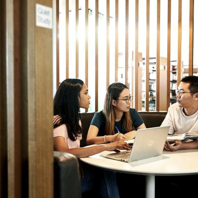 Students in a study booth.