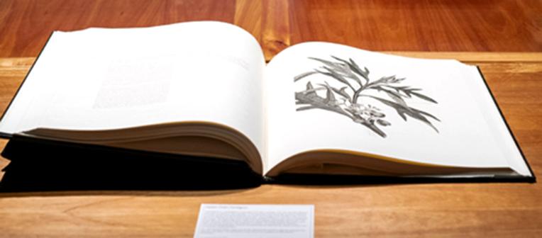 rare book open on table