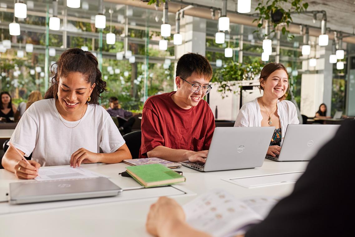 students working together on laptops