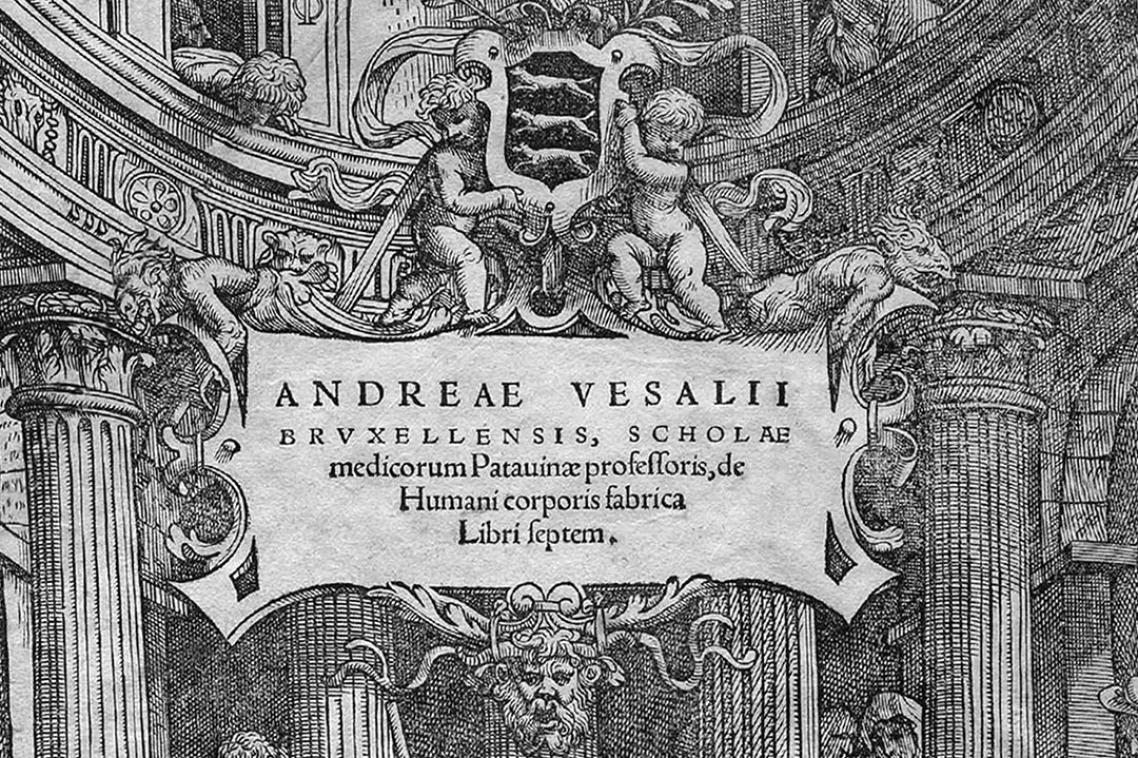 Vesalius Fabrica 