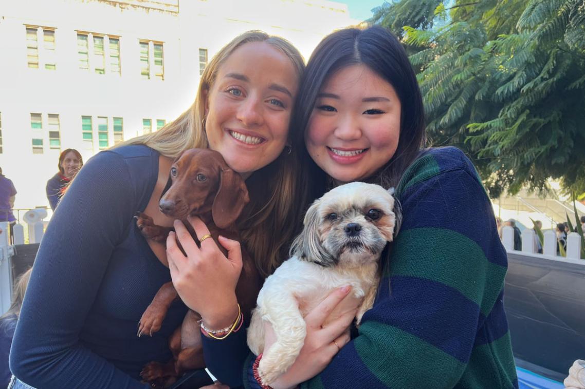 Two students holding a puppy each.